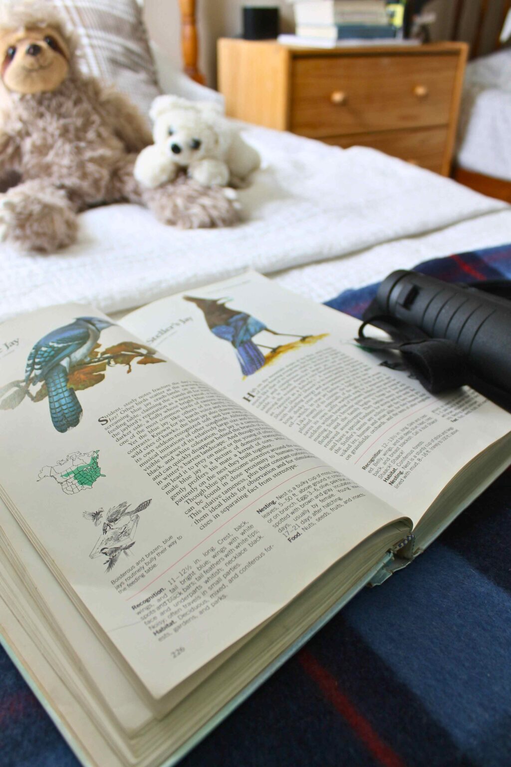 Country Style Boy's Bedroom In A 120YearOld Farmhouse The Fairview